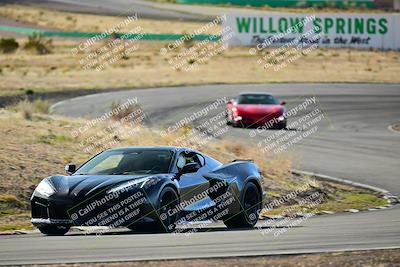 media/Mar-22-2025-West Coast Racing (Sat) [[0d49b412c8]]/Yellow Group/Session 1 (Turn 4-Exterior)/